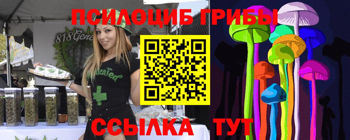 купить наркотики сайты  Галлюциногенные грибы мицелий  Вход с VPN  Псилоцибиновые грибы Magic Shrooms  Пугачёв 