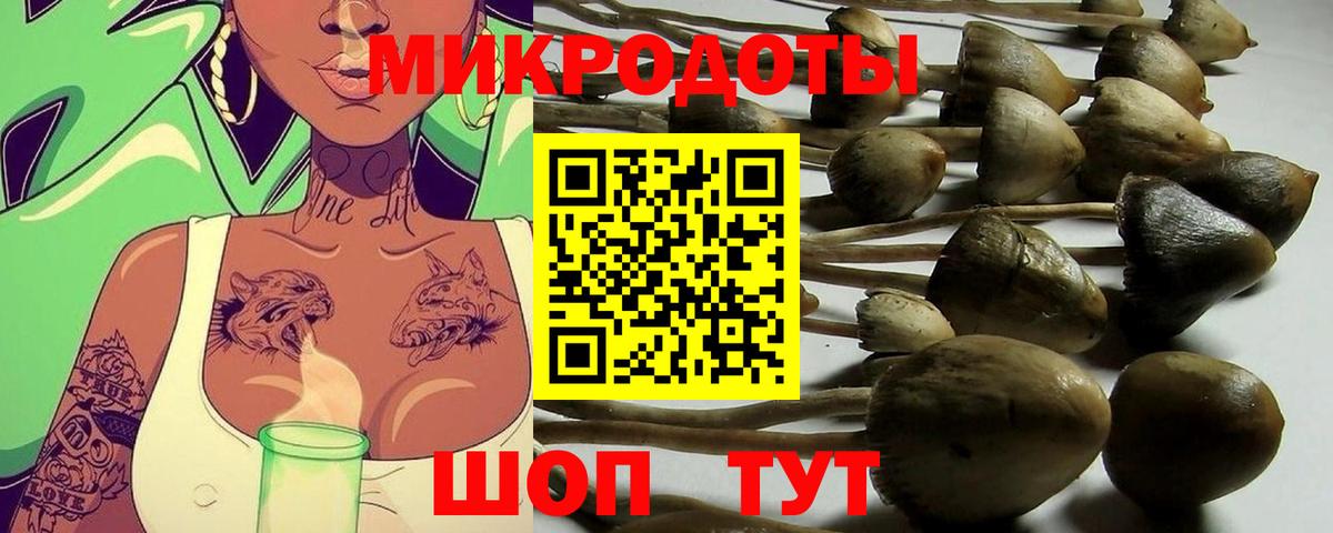 Псилоцибиновые грибы MAGIC MUSHROOMS Пугачёв
